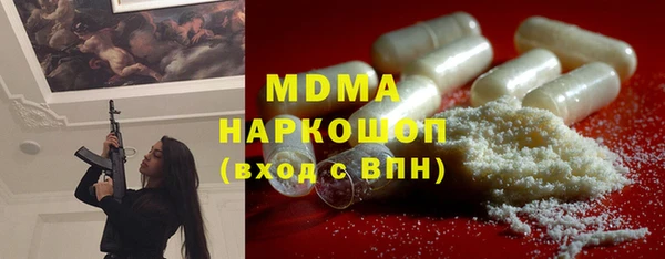 ешки Бородино