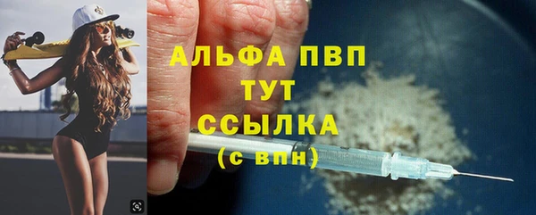 ешки Бородино
