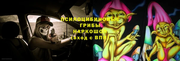 ешки Бородино