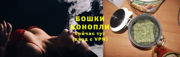 ешки Бородино