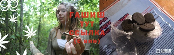 ешки Бородино