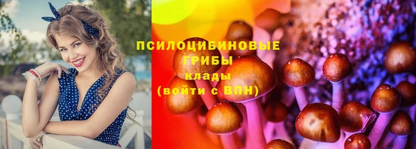 гашик Бронницы